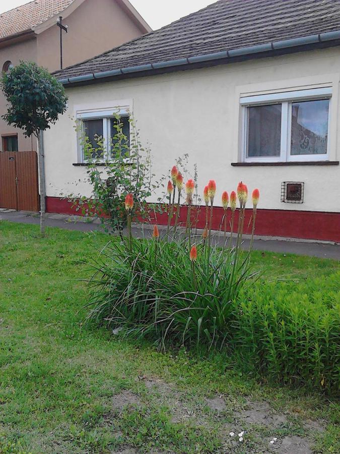 Toth Maganszallas Hajduszoboszlo Apartment Exterior photo